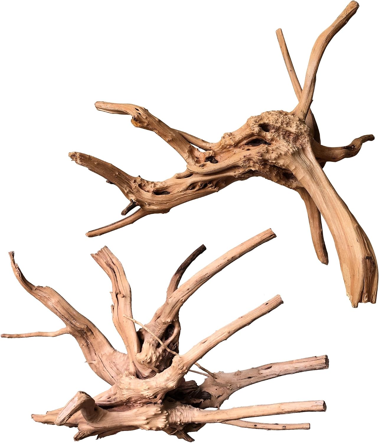 majoywoo Natural Small Driftwood for Aquarium Decor Fish Tank Decorations | Natural Driftwood for Aquascaping and Reptile Decor, With Unique Natural Shapes, Assorted Driftwood Branch 4.5-7.5" 5 Pcs - Image 15