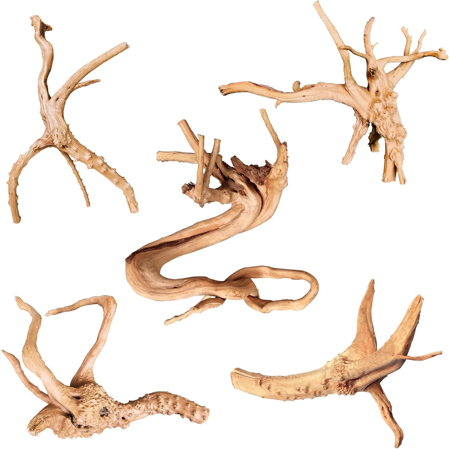 majoywoo Natural Small Driftwood for Aquarium Decor Fish Tank Decorations | Natural Driftwood for Aquascaping and Reptile Decor, With Unique Natural Shapes, Assorted Driftwood Branch 4.5-7.5" 5 Pcs - Image 12