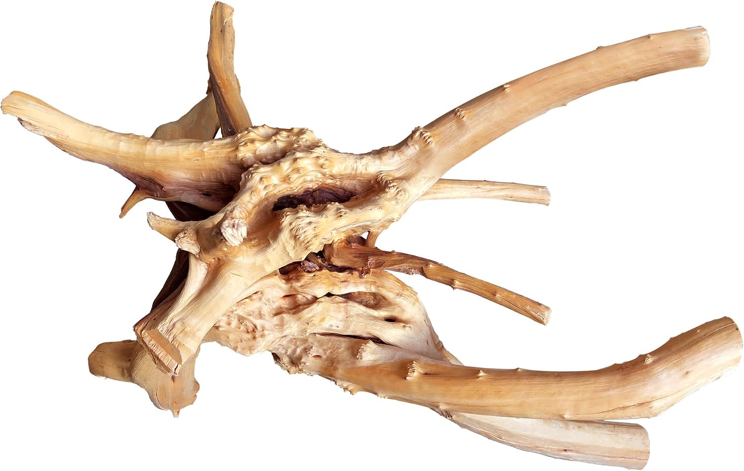 majoywoo Natural Small Driftwood for Aquarium Decor Fish Tank Decorations | Natural Driftwood for Aquascaping and Reptile Decor, With Unique Natural Shapes, Assorted Driftwood Branch 4.5-7.5" 5 Pcs - Image 13