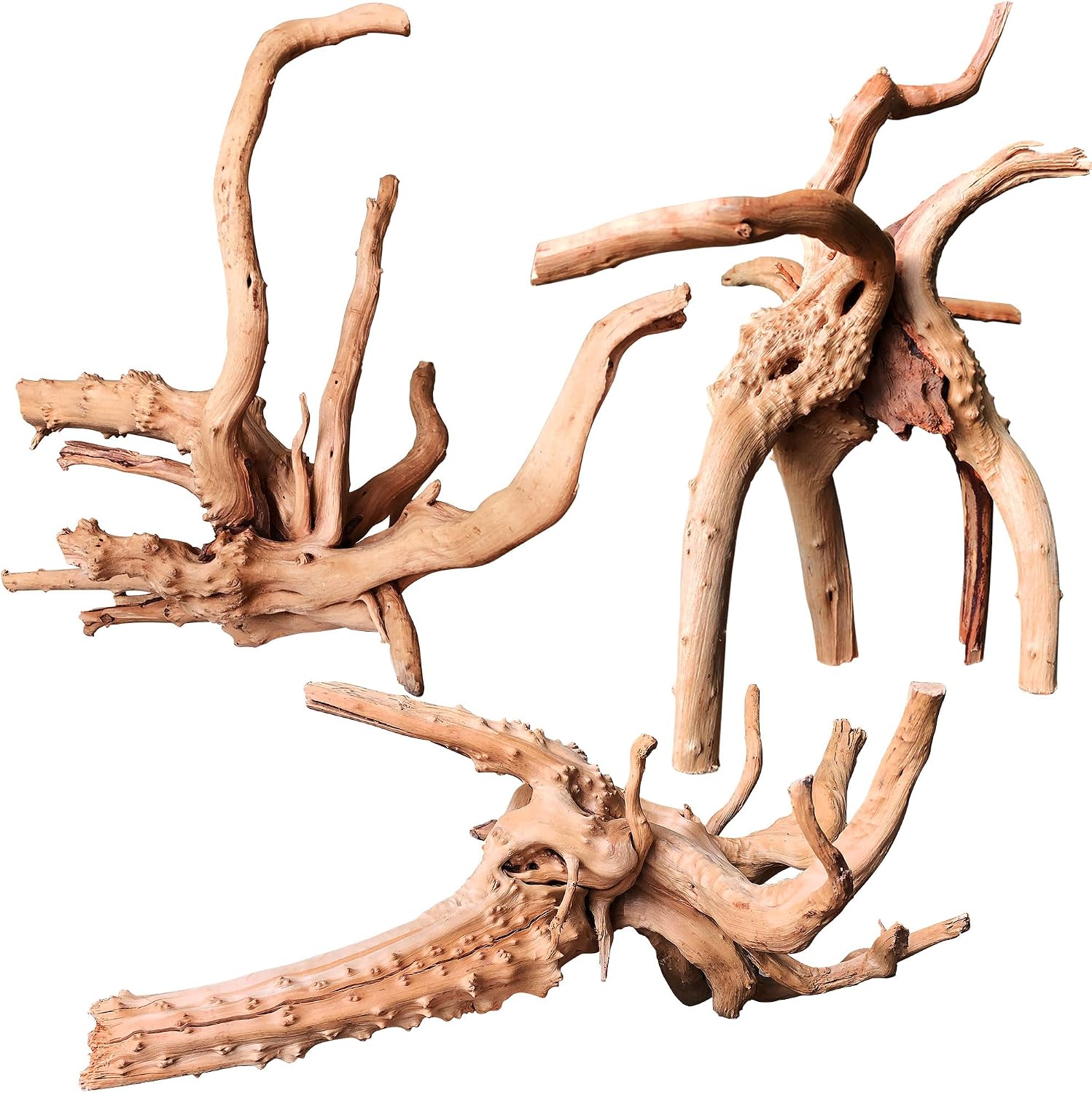 majoywoo Natural Small Driftwood for Aquarium Decor Fish Tank Decorations | Natural Driftwood for Aquascaping and Reptile Decor, With Unique Natural Shapes, Assorted Driftwood Branch 4.5-7.5" 5 Pcs - Image 11