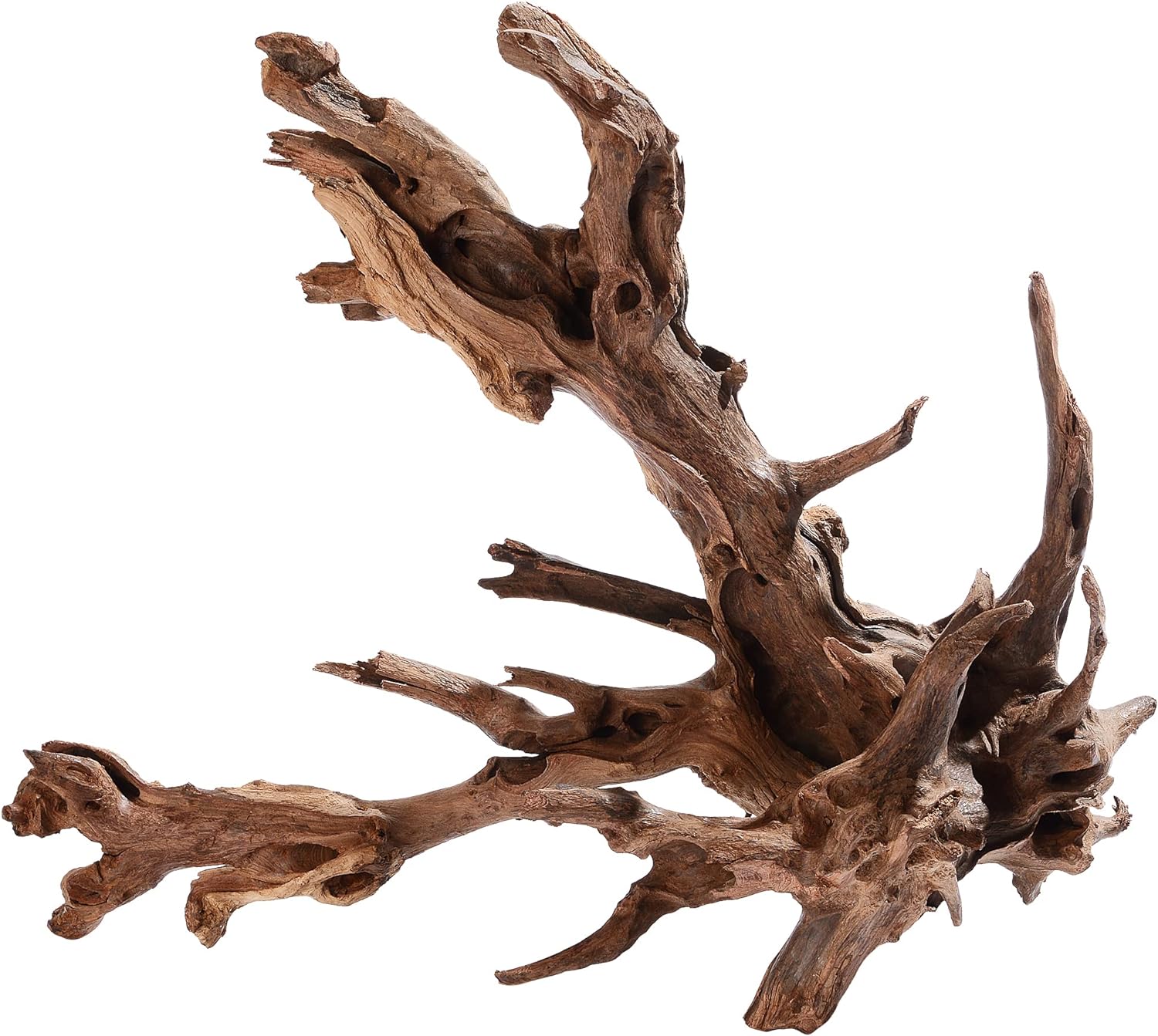 majoywoo Natural Small Driftwood for Aquarium Decor Fish Tank Decorations | Natural Driftwood for Aquascaping and Reptile Decor, With Unique Natural Shapes, Assorted Driftwood Branch 4.5-7.5" 5 Pcs - Image 9